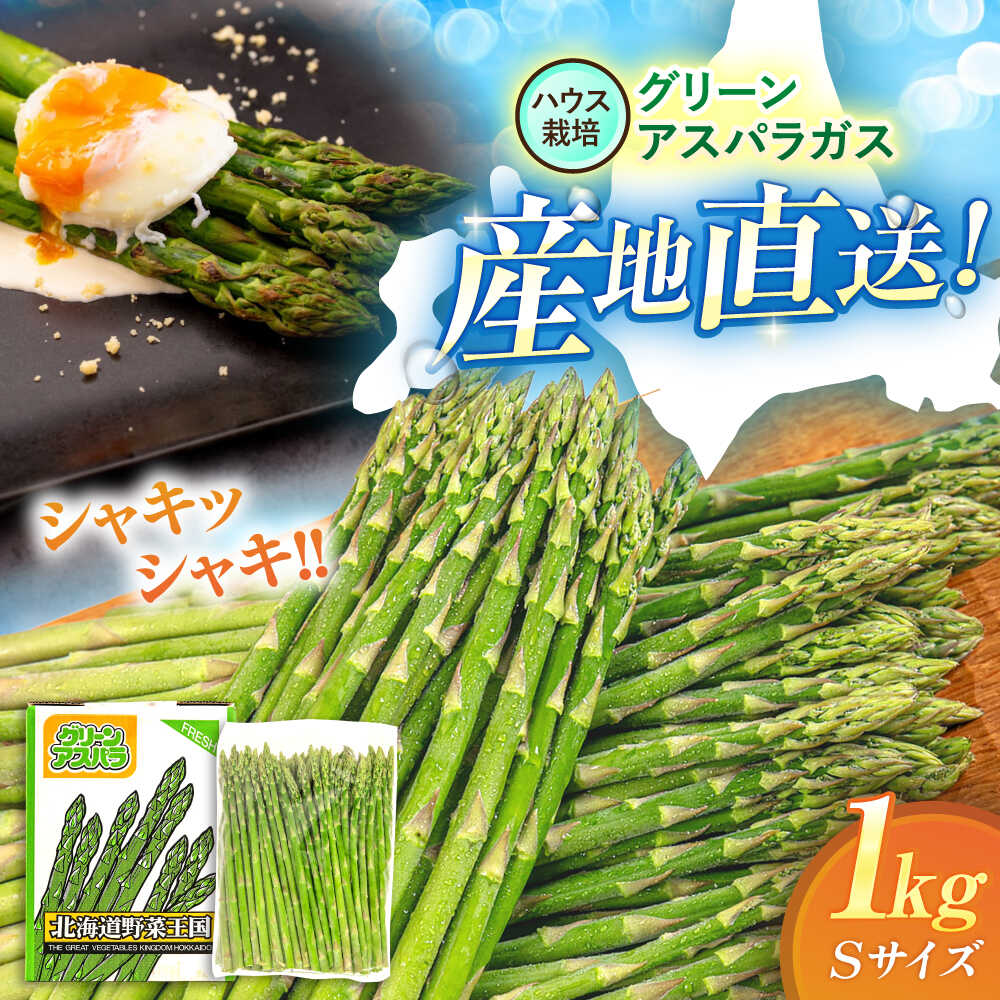 【ふるさと納税】【2026年4月以降順次発送】北海道 グリーンアスパラガス 1kg （S/ハウス栽培）《喜茂別町》【久保田農園】 アスパラ アスパラガス グリーンアスパラ 冷蔵 冷蔵配送 野菜 春野菜 季節の野菜 [AJAM013] 10000 10000円 1万円