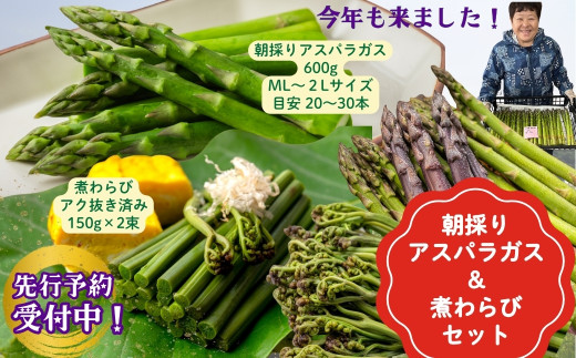 【先行予約5/31迄】やまに農産「朝採りアスパラガス」と「煮わらび」セット（限定30セット）