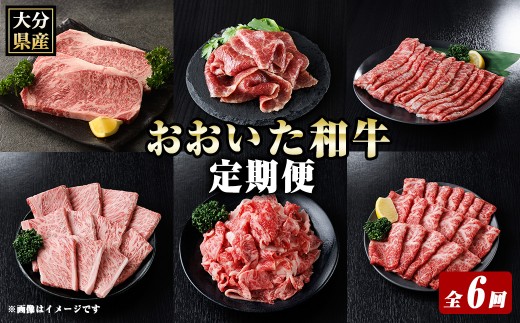 おおいた和牛 定期便 (全6回) 牛肉 肉 冷凍 国産 和牛 小分け ブランド牛 切り落とし 【optk005】【大分県畜産公社】