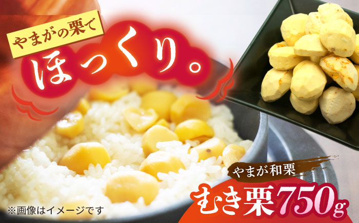 【先行予約】むき栗 約750ｇ（約250g×3pc） 【すみれファーム】 [ZEP064]