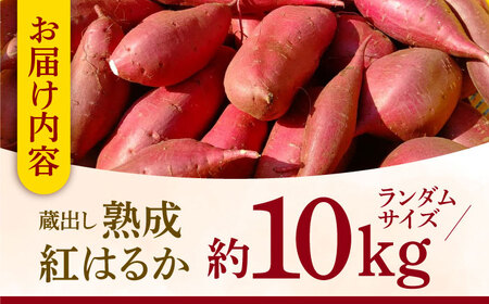 【数量限定】【先行予約】蔵出し 熟成 紅はるか さつまいも 約10kg サイズバラバラ 密 芋 【合同会社 福福堂】[ZCN019]