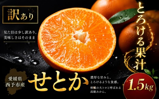 ＜濃密果汁 愛媛県産せとか 合計約1.5kg＞『2027年2月上旬～5月上旬迄に順次出荷予定』 訳あり セトカ ミカン 蜜柑 食感 甘い ご家庭用 果汁 果物 くだもの フルーツ オレンジ 柑橘 人気柑橘 特産品 極尽道 愛媛県 西予市 【常温】