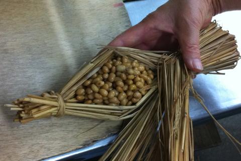 藁納豆　輝5本入り ※着日指定不可 | 納豆 なっとう ナットウ 健康 発酵 食品 食料 わら セット 詰合せ 詰め合わせ ギフト 贈答 贈り物 プレゼント お中元 お歳暮 お祝 ご褒美 記念日 記念