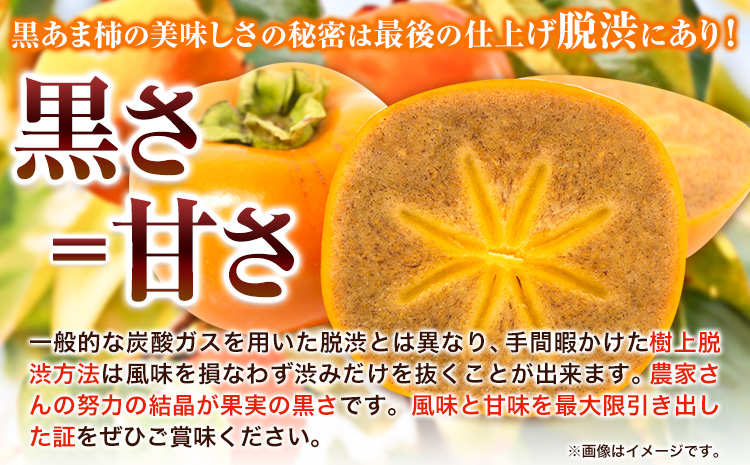 【先行予約】黒あま種なし約2kg（6～9玉前後）4L～2Lサイズ《2026年10月中旬-11月末頃出荷》高級かき柿カキ果物フルーツ---wfn_wlocal81_10c11m_25_10000_2kg