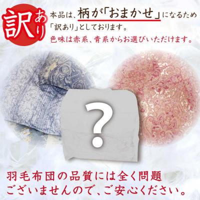 ふるさと納税 糸島市 【訳あり】【糸島羽毛ふとん】柄おまかせダウン85%【シングル】[AYM004] |  | 02