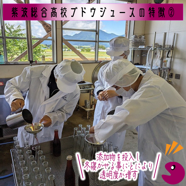 ＼紫波の高校生が作りました！／紫波町産 ぶどうジュース 300ml 6本入り ｜ 岩手 紫波町 ぶどうジュース 紫波 高校 岩手県立紫波総合高等学校 選べる フレッシュ(EC003)