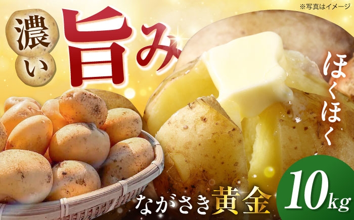 
                  南串産ながさき黄金10kg(春じゃが) 長崎県/南串ながさき黄金生産組合 [42ALAJ003]
                