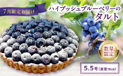 【数量限定】7月限定　ハイブッシュブルーベリーのタルト　5.5号