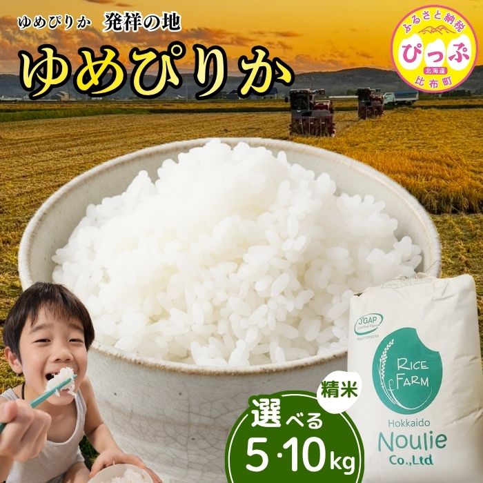 【ふるさと納税】【令和8年産 新米受付】ゆめぴりか 精米 5kg 10kg【農業生産法人ノウリエ】 容量が選べる 米 お米 北海道産 北海道米 特Aランク 国産 白米 コメ 北海道 比布町 ぴっぷ
