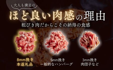 【定期便12回】本格デミグラス ハンバーグ 180g×24個 計4.3kg