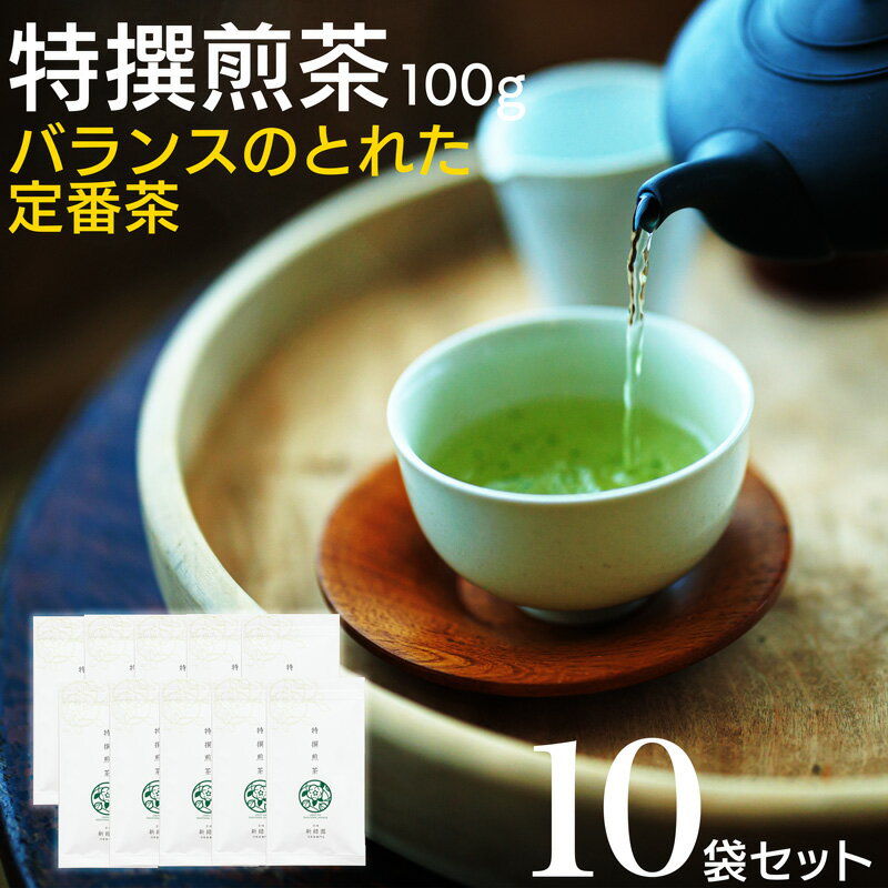 【ふるさと納税】宮崎日本茶専門店 特撰煎茶100g 10本セット お茶 緑茶 ギフト お取り寄せ