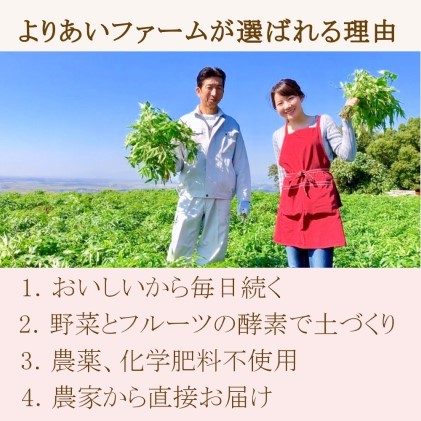 ★希少★日本山人参茶30包入り×2袋 飲料類 お茶 野菜/人参 _イメージ4
