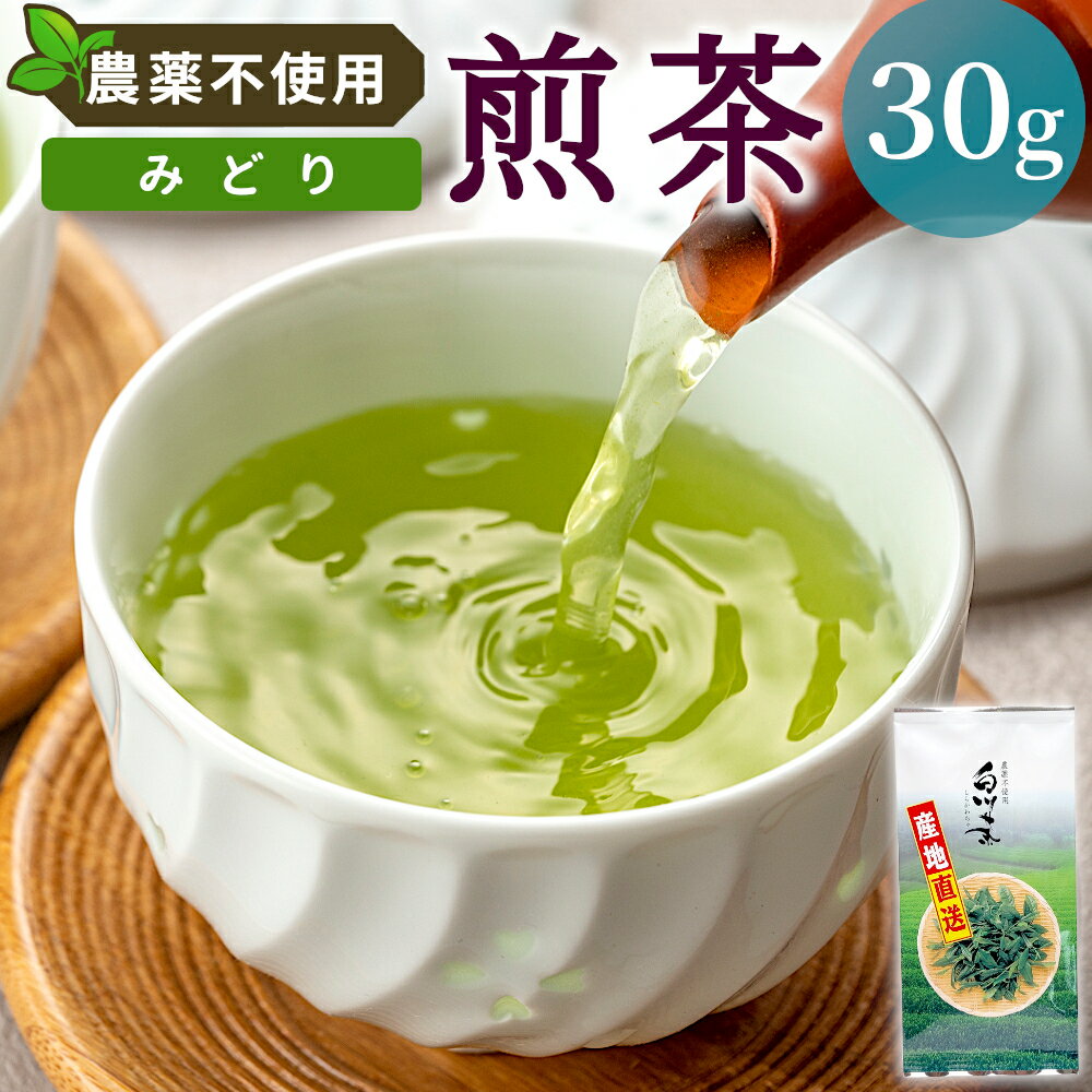 【ふるさと納税】農薬不使用！煎茶 みどり30g 常磐園 みどり 日本茶 緑茶 煎茶 茶葉 お茶 白川茶 美濃白川茶 農薬不使用栽培茶 一番茶 春摘み お試し 岐阜県 東白川村 お取り寄せ