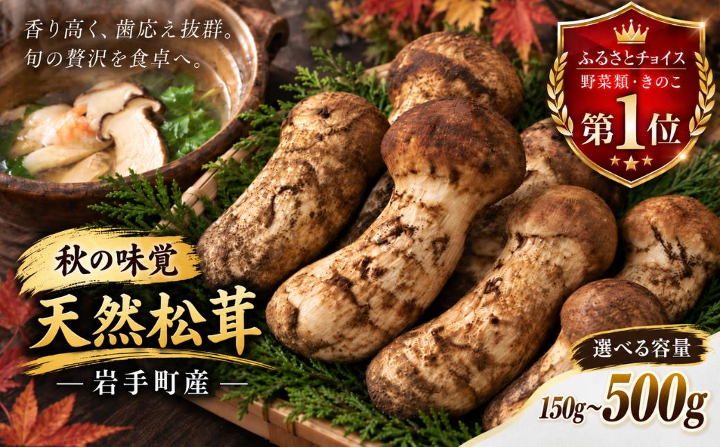 
                  岩手町産 天然松茸 150g 250g 400g 500g 贈答 ギフト 産地直送 天然物 芳醇な香り 歯応え 秋の味覚 国産 松茸ご飯 土瓶蒸し ホイル焼き 天ぷら 茶碗蒸し 冷蔵配送 山の幸 希少 高級
                