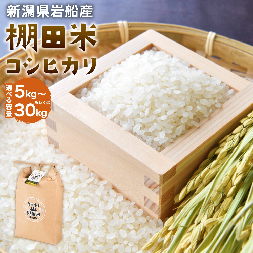 【ふるさと納税】【令和7年産米】新潟県村上市岩船産 棚田米 コシヒカリ 【選べる容量】 5kg ～ 30kg 米 精米 白米 ご飯 ごはん 村上市 A4038