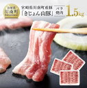 【ふるさと納税】※レビューキャンペーン※ 宮崎県産ブランド豚 バラ焼肉用 1.5kg《川南町産「きじょん山豚」》【豚肉 豚 肉 宮崎県産 九州産 バーベキュー BBQ イベント アウトドア おうちごはん おうち時間 送料無料 G7515】