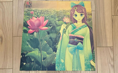 あーと畳1枚 あいさいちゃん 畳 たたみ いぐさ 愛西市 / 有限会社なかしま[AEDC001]