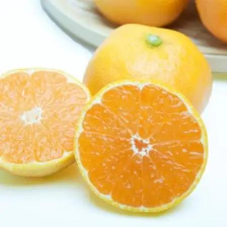 ハウス栽培温室みかん5kg+250g(傷み補償分)【有田みかん】【配送不可地域：離島・北海道・沖縄県】【1649263】