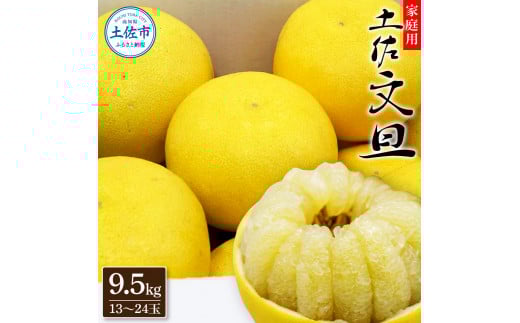 生産者直送　土佐文旦9.5kg[2L～4L]家庭用 【2026年1月下旬より発送】 家庭用 文旦 柑橘 みかん フルーツ  果物  産地直送 お取り寄せ 人気  美味しい 名産 ふるさと納税 送料無料 返礼品 高知県 高知