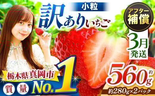  【3月発送】訳あり 小粒 とちあいか 約560g （280g×2パック） | 1月 2月 3月 4月 おいしい 訳あり | 生産量 日本一 果物 フルーツ 苺 イチゴ 2026年分 シーズン 先行受付 栃木県 真岡市 送料無料