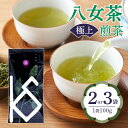 【ふるさと納税】八女茶 極上煎茶100g 選べる個数（2袋・3袋） 八女茶 煎茶 緑茶 極上 福岡県産