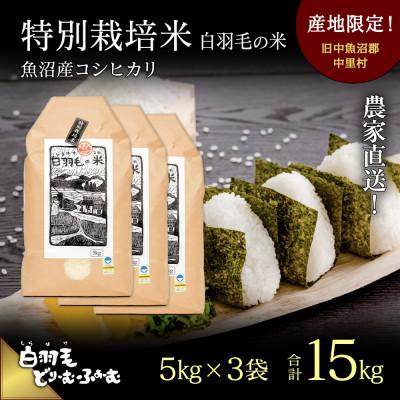 ふるさと納税 十日町市 令和8年産　農家直送!魚沼産こしひかり　特別栽培米「白羽毛の米」精米5kg×3袋