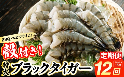 【12回定期便】特大 ブラックタイガー 無頭えび 570g前後（15尾）×12回 ｜海老 えび エビ エビフライ 海老フライ えびフライ エビチリ 天丼 海鮮丼 すし スシ 寿司 ブラックタイガー 大型 大容量 海鮮 魚介 殻付き ギフト 進物 贈答 贈り物 誕生日 おくりもの プレゼント 冷凍 大阪府 阪南市