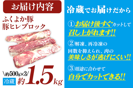 ふくよか豚ヒレブロック約1.5kg 豚ヒレブロック 約1.5kg(約500g×3) 豚ヒレブロック肉 豚ヒレ ヒレ ブロック 希少 ふくよか豚 ヒレステーキ ヒレカツ とんかつ フィレ 焼き肉 豚肉 