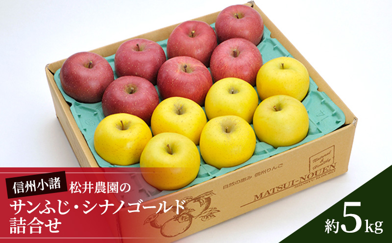りんご サンふじ シナノゴールド 詰め合わせ 約5kg フルーツ 果物 甘い 林檎 セット