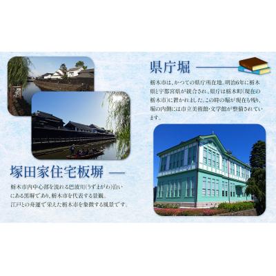 ふるさと納税 栃木市 貼らないオンパックス (30枚入×3箱)90枚セット |  | 03