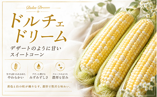【令和9年産先行予約】野菜の定期便（大） 3回便 野菜 定期便 幻のアスパラ ラスノーブル とうもろこし 玉ねぎ 北海道 本山農場
