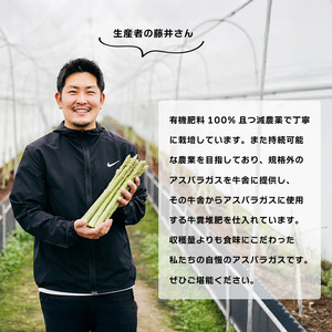 【2026年先行予約】 グリーンアスパラガス さぬきのめざめ 2kg アスパラ