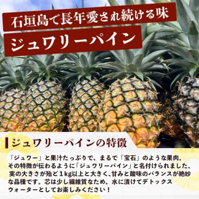 ふるさと納税 石垣市 《2027年6月以降順次発送》蜜香の極 ジュワリーパイン 2玉 約1.8kg |  | 01