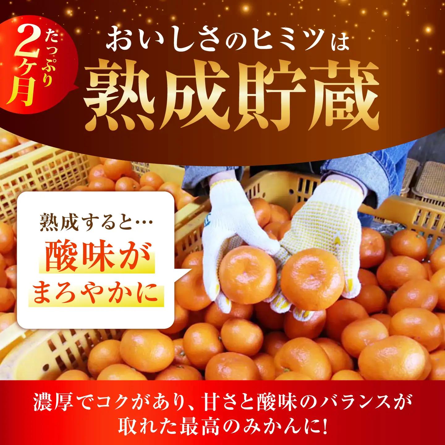 今村温州みかん 5kg みかん 果物 [HCE002]