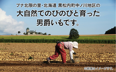 【北海道黒松内産】2024年秋出荷じゃがいも（男爵）20kg 農家直送（11月発送）ジャガイモ 芋 男爵いも 北海道 予約受付