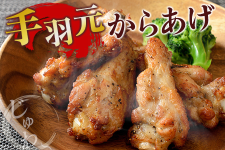 宮崎県産鶏肉 やわらか若鶏2種（むね・手羽元）合計5kg【A285】