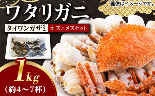 
【30セット限定！予約受付】豊前海産 タイワンガザミ 1kg (4～7杯前後) オス メス セット 《築上町》【明青丸】 ワタリガニ 渡り蟹 蟹 カニ [ABCB002] 12000円
