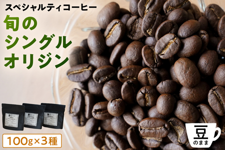 [豆のまま]スペシャルティコーヒー 旬のシングルオリジン 100g×3種 【kt054-006-1】 ｺｰﾋｰ