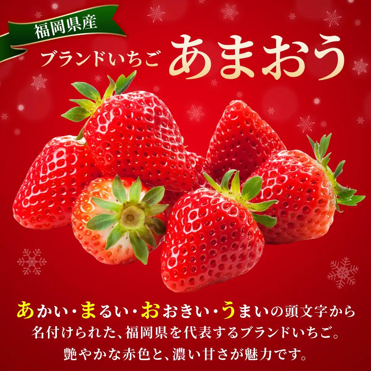 福岡県産あまおう4パック（約250g×4パック）