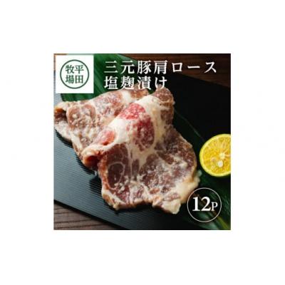 ふるさと納税 酒田市 【平田牧場】日本の米育ち◆三元豚 肩ロース塩麹漬け　100g×12パック