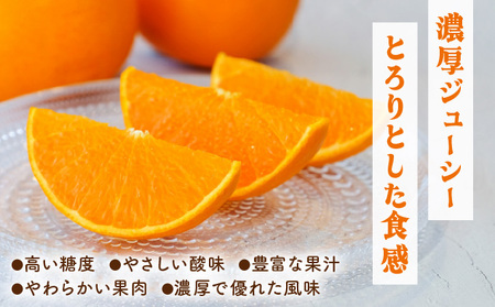 KU335 【数量限定・訳あり】 順子姉さんのひっぱりだこ愛情せとか 5kg