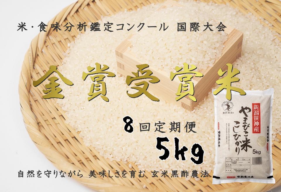 
【8か月定期便】コシヒカリ「やまびこ米」5kg×8回 玄米黒酢農法 金賞受賞 特別栽培米 白米 精米 農家直送 1P09080
