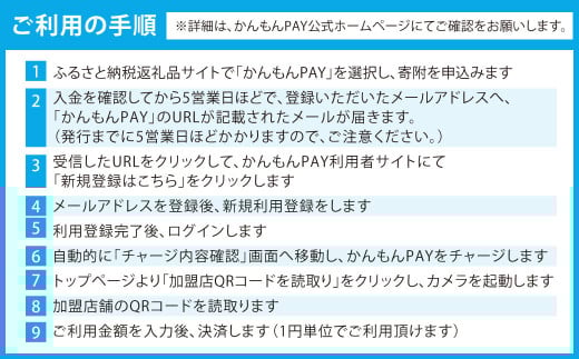 かんもんPAY 9,900円分