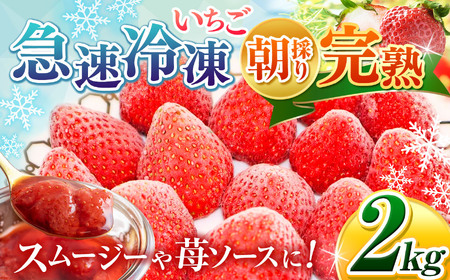 【ふるなびWEEK対象】 完熟・急速冷凍いちご 2kg FN-Limited-PR
