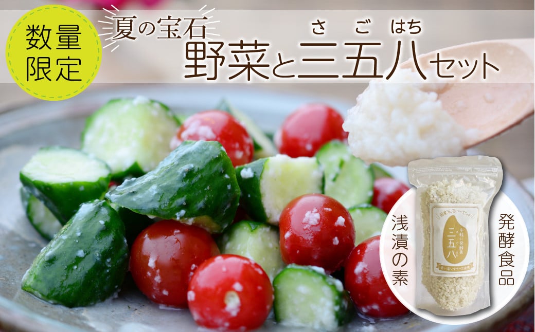 
【 先行予約 】 夏の宝石野菜と三五八(さごはち) セット 数量限定 野菜 夏野菜 やさい 三五八 さごはち 発酵 発酵食品 健康 腸活 農家直送 新鮮 ギフト 贈答 人気 ミニトマト 枝豆 レシピ 福島県 田村市 青柳堂
