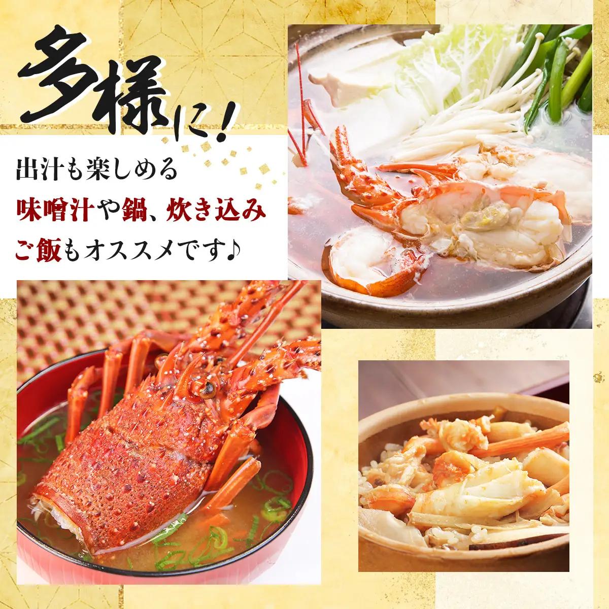 活き 伊勢海老 2～5尾 1kg 伊勢海老