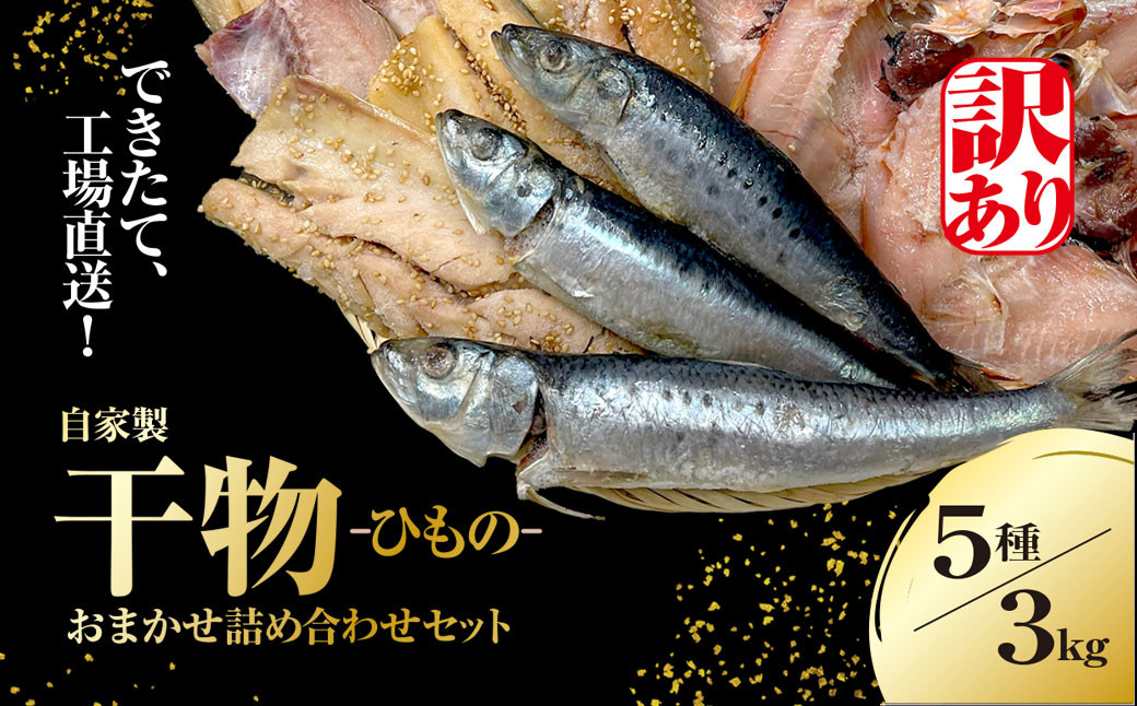 
            【訳あり】出来立て！工場直送！ 自家製干物・水産加工品おまかせ詰め合わせセット 5種 3kg 訳あり 訳アリ 干物 ほっけ ホッケ アジ あじ サバ さば 魚 大容量 詰め合わせ 千葉県大網白里 BA001
          