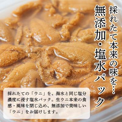 ふるさと納税 釧路市 【特選】塩水ウニ 80g(エゾバフンウニ) うに 雲丹 ミョウバン不使用 海鮮丼 F4F-0312 |  | 01