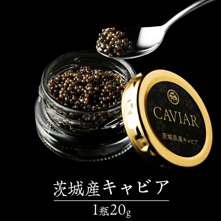 【ふるさと納税】《12/24入金確認分まで年内配送》 つくばスタージョン キャビア 20g×1 キャビア 高級食材 記念日 誕生日 世界三大珍味 国産キャビア 茨城県産 茨城