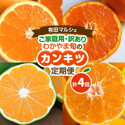 【ふるさと納税】ご家庭用・訳あり わかやま旬のカンキツ定期便【S】【M】【L】 全4回 合計12kg または 合計20kg または 合計37.5kg 有田マルシェ《発送月固定・全4回出荷》和歌山県 日高町 フルーツ 果物 柑橘 ご家庭用 訳あり 有田みかん 完熟 青切